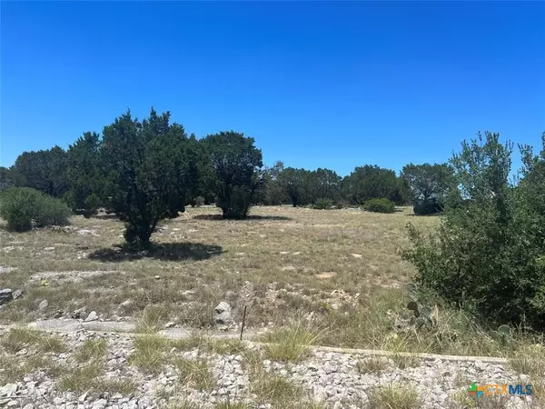 Burnet, TX 78611,00 Southwind ST