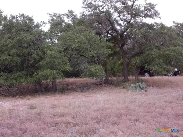 Spring Branch, TX 78070,484 Havasu PT