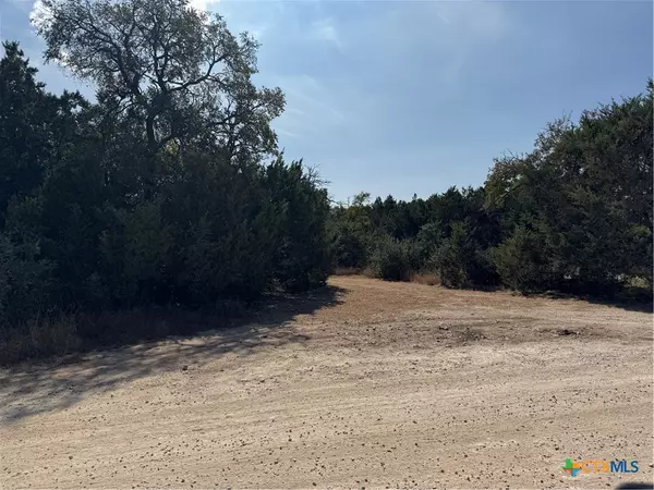 Bertram, TX 78605,TBD Cr 304