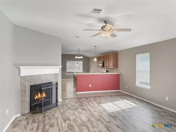 New Braunfels, TX 78130,1935 Snowy Egret