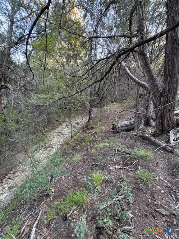 Lometa, TX 76853,0 County Road 2773