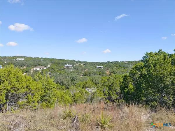 Canyon Lake, TX 78133,1161 Post Oak DR