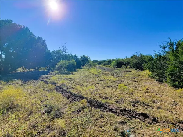 Kempner, TX 76539,0000 County Road 3300