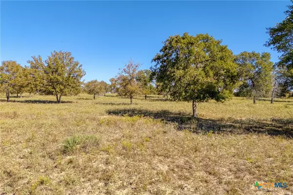 TBD Flash CIR, Luling, TX 78648