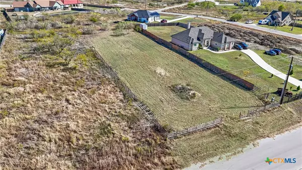 Niederwald, TX 78640,154 Burrobrush ST