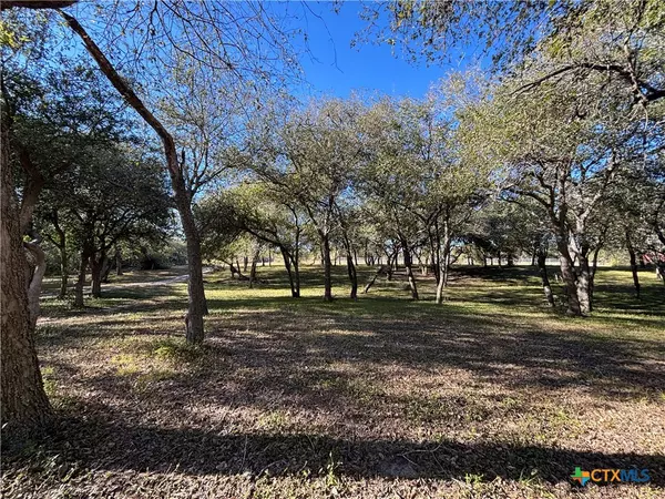 Skidmore, TX 78164,2168 River Oaks
