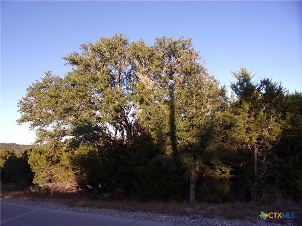 361/395 Mountain Wood, Canyon Lake, TX 78133