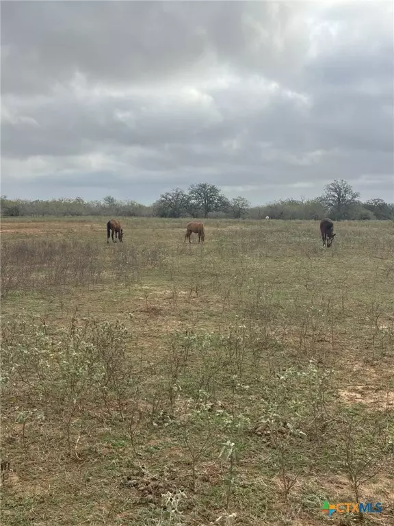 Harwood, TX 78632,510 Johnson Farms