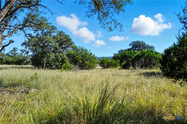 405 Valley Oak DR, Goldthwaite, TX 76844