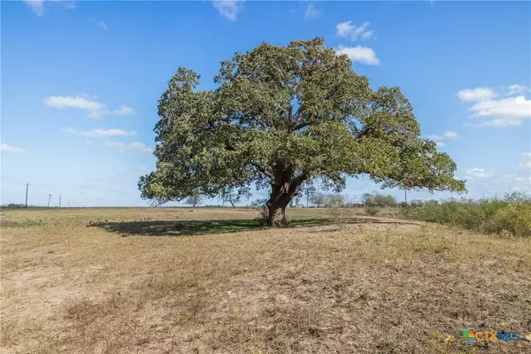 Hallettsville, TX 77964,TBD US Hwy 77