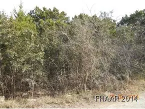 Other, TX 78605,Lot 34-38 Oak CIR