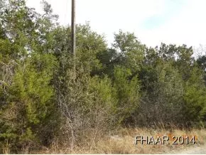 Other, TX 78605,Lot 34-38 Oak CIR