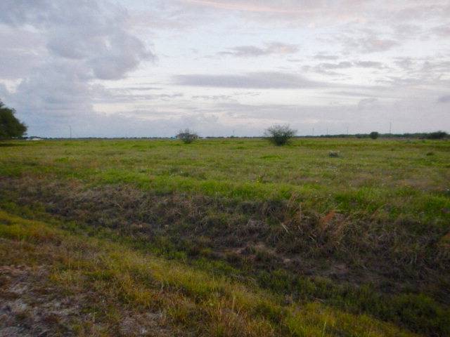 Victoria, TX 77905,20 Essence DR