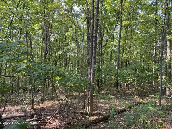 East Stroudsburg, PA 18302,Lot 315 PINE CREEK DR