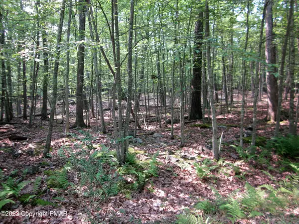 Hawley, PA 18428,Lot # 253 Valley View Ct