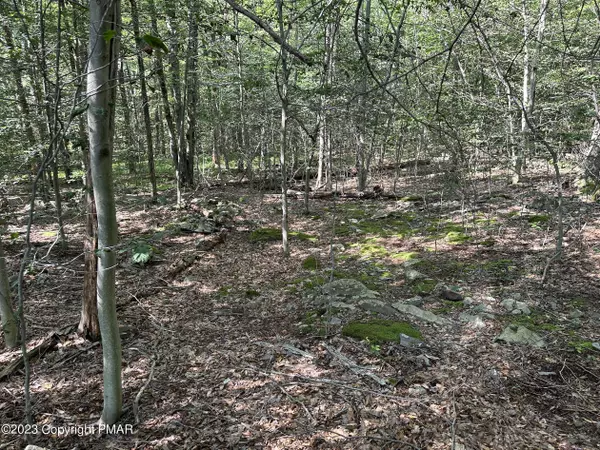 Canadensis, PA 18325,Lot 87 Sunfish Court