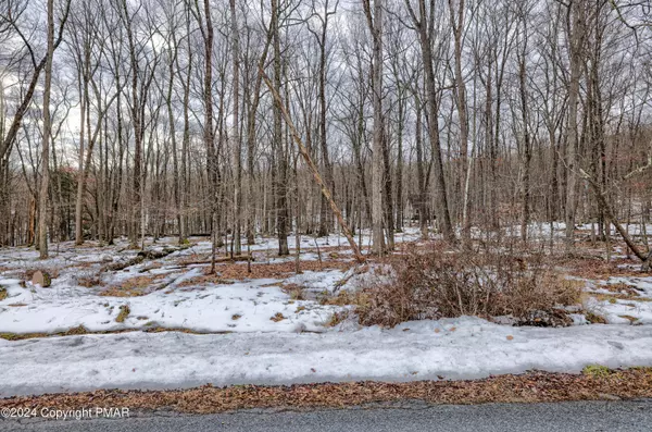 Lot 17 Pocono Mountain Lake DR, Bushkill, PA 18324