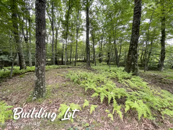 SKYLINE lot 64 DR, Canadensis, PA 18325