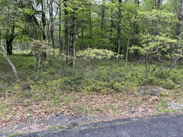 Albrightsville, PA 18210,Lot 1218 Chapman CIR