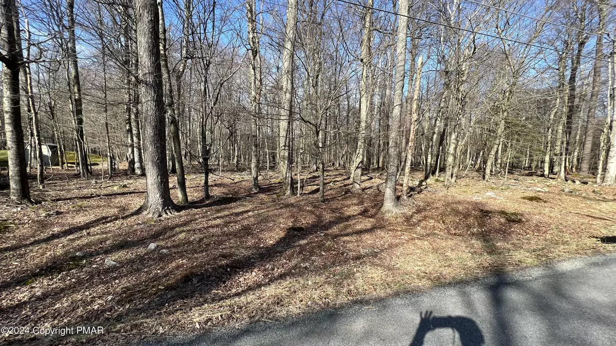 Gouldsboro, PA 18424,Lot 9 Valley RD