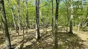 Bushkill, PA 18324,Lot 226 Bluebird DR