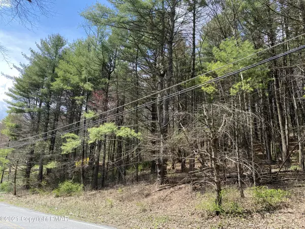 Kunkletown, PA 18058,Lot#2  Haney RD