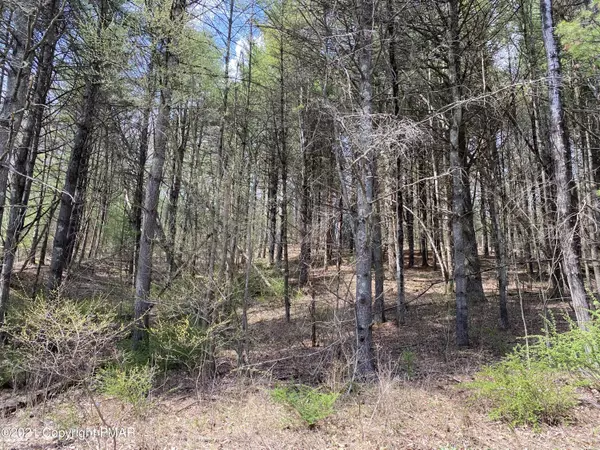 Kunkletown, PA 18058,Lot#2  Haney RD