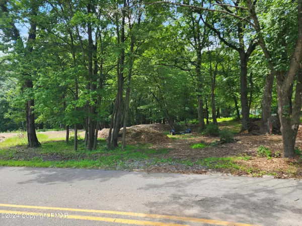 Mount Pocono, PA 18344,Lot 17 LAUREL LN