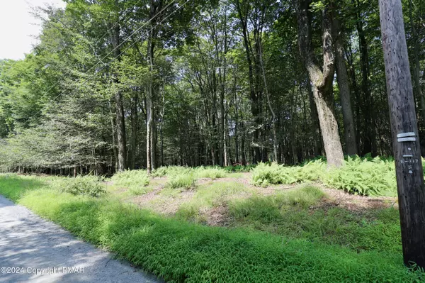 Greentown, PA 18426,View Lot 827 DR