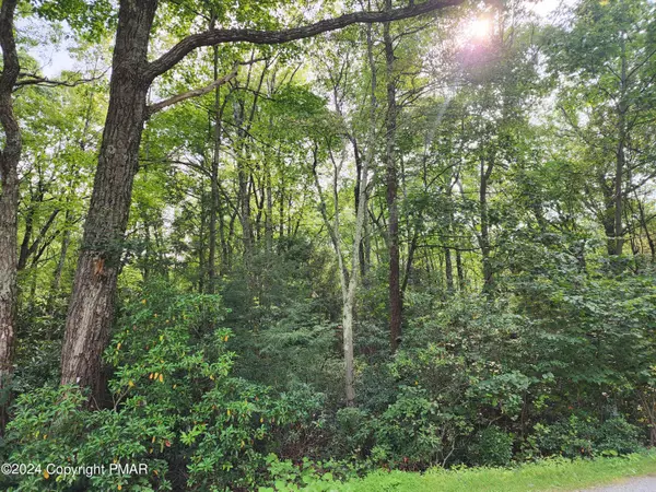 Lot A48 White Pine Rd&Red Oak, Jim Thorpe, PA 18229