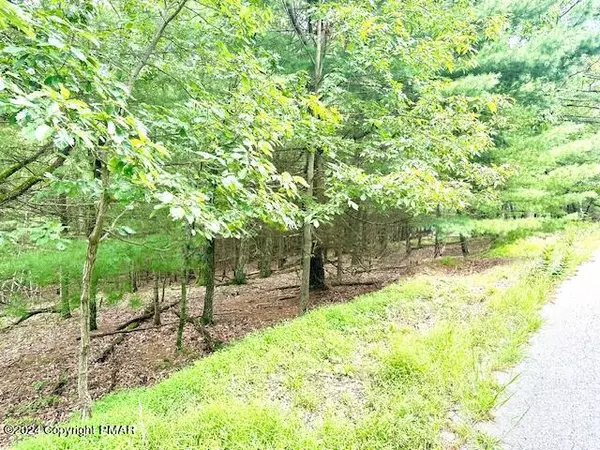 Henryville, PA 18332,Lot 508 Tannebaum WAY