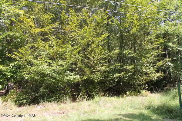 Pocono Lake, PA 18347,Lot 24 SHESHEQUIN DR