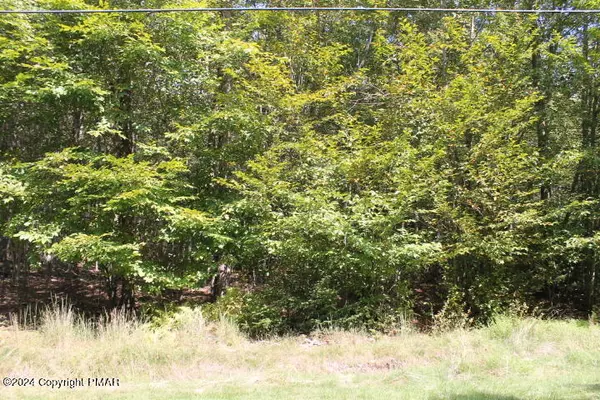 Pocono Lake, PA 18347,Lot 24 SHESHEQUIN DR