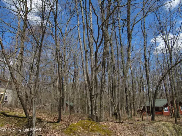 Lot#019 Holiday DR, White Haven, PA 18661