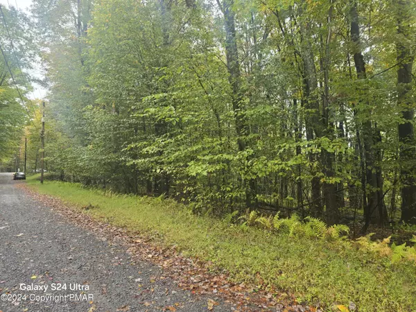 Pocono Lake, PA 18347,10 COMANCHE TRL