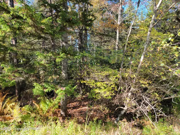 Gouldsboro, PA 18424,LOT 18& 19 Louis LN