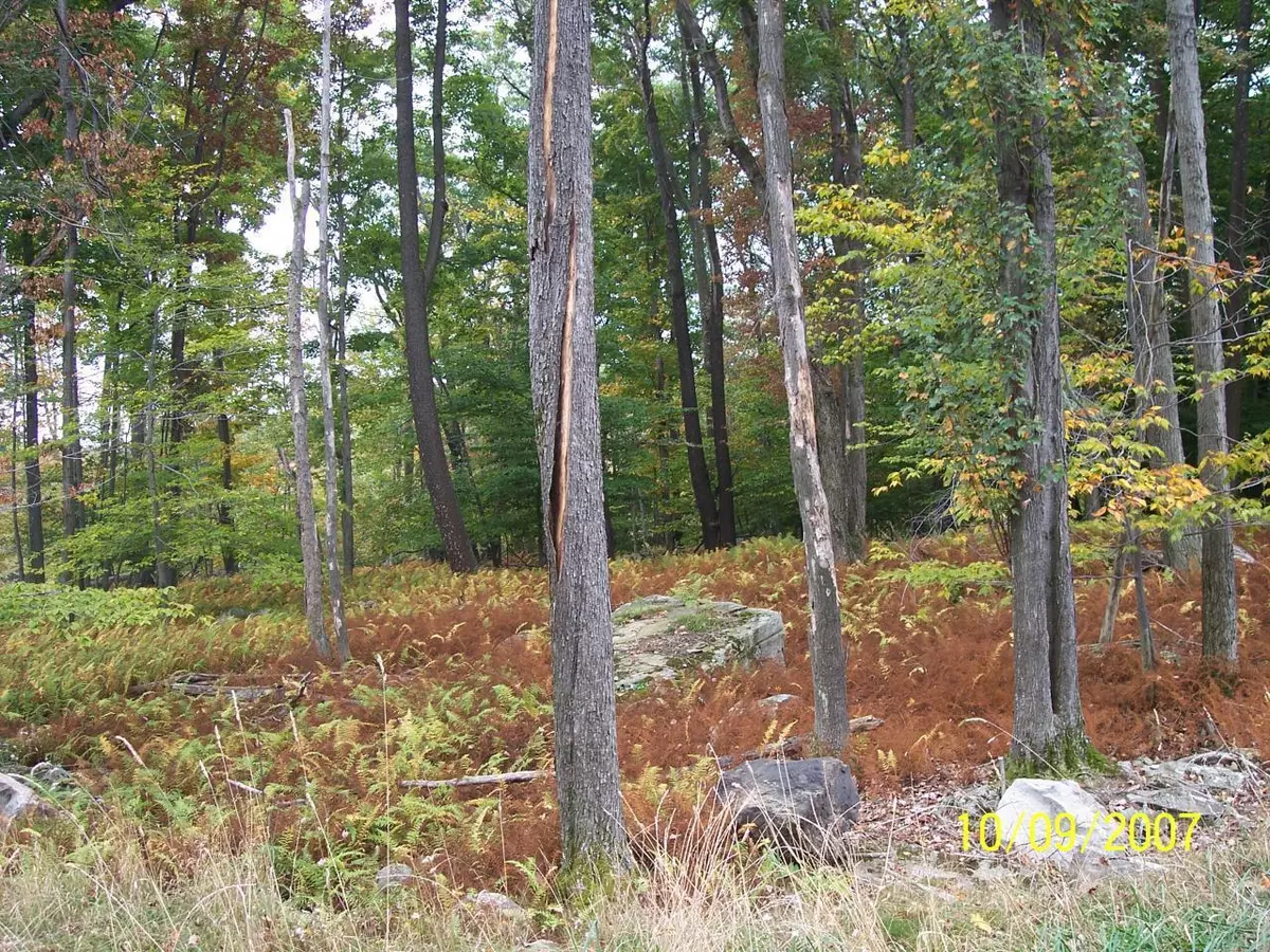 Canadensis, PA 18325,Lot 13 NOAH CT