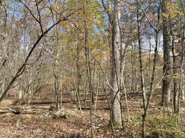 Cresco, PA 18326,Lot 201 SNOW HILL FALLS RD