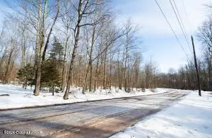 Pocono Lake, PA 18347,260 Pontiac PATH