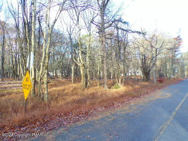 Albrightsville, PA 18210,Lot 709A Wintergreen TRL