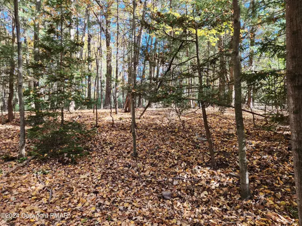 Lot 25  Mongul CIR, Henryville, PA 18332