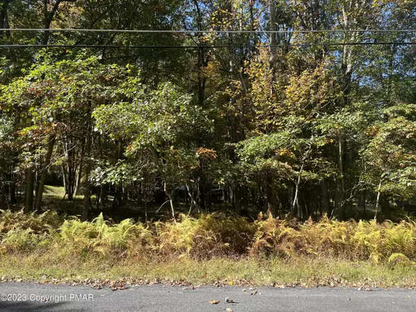 Albrightsville, PA 18210,Hugo Dr., Lot 992