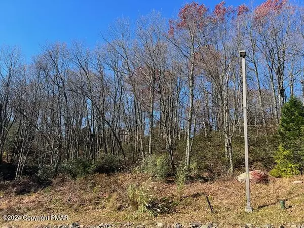 Tannersville, PA 18372,2235   Lot Camelback DR