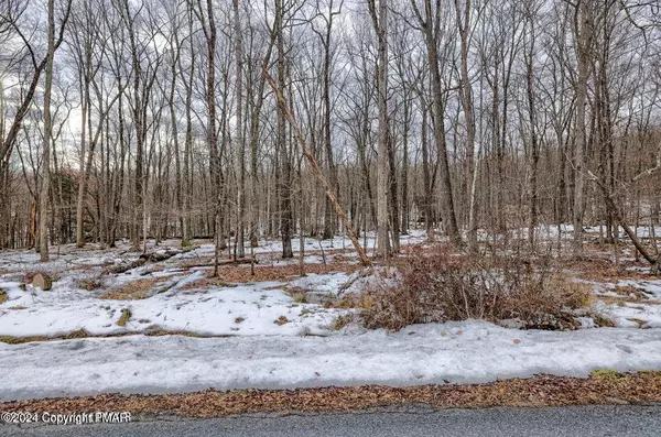 Lot17 Pocono Mountain Lake DR, Bushkill, PA 18324