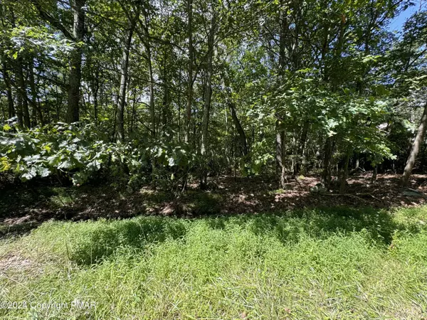 Stroudsburg, PA 18360,Lot 75 MICHAEL LN