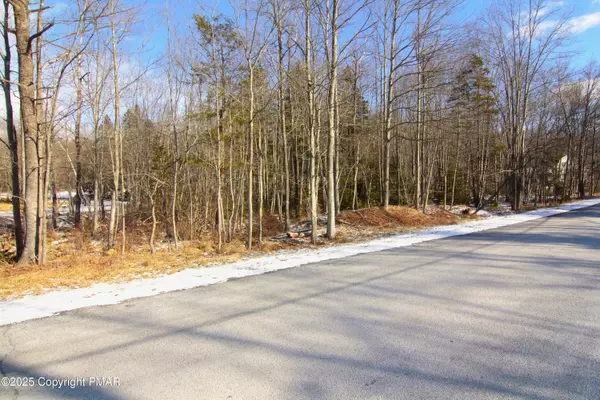 N Arrow DR, Mount Pocono, PA 18347