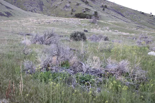 Pocatello, ID 83201,00 S 5th Ave