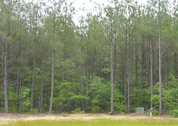 Lot 48 Plantation PL, Little Plymouth, VA 23091