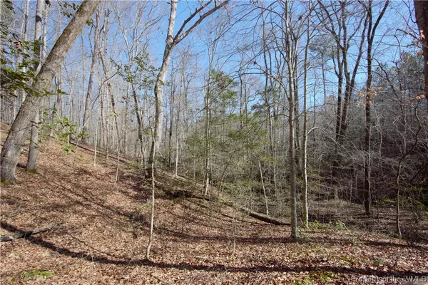 Gloucester, VA 23061,Lot 6 Deerwood CT