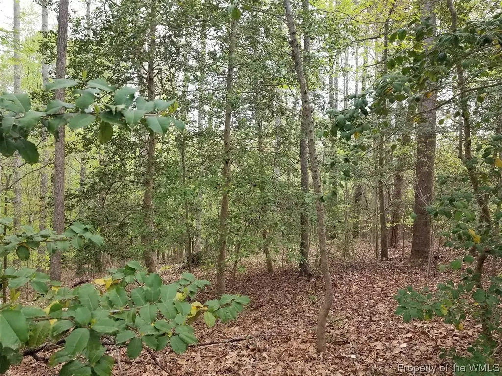 Williamsburg, VA 23188,127 Deal